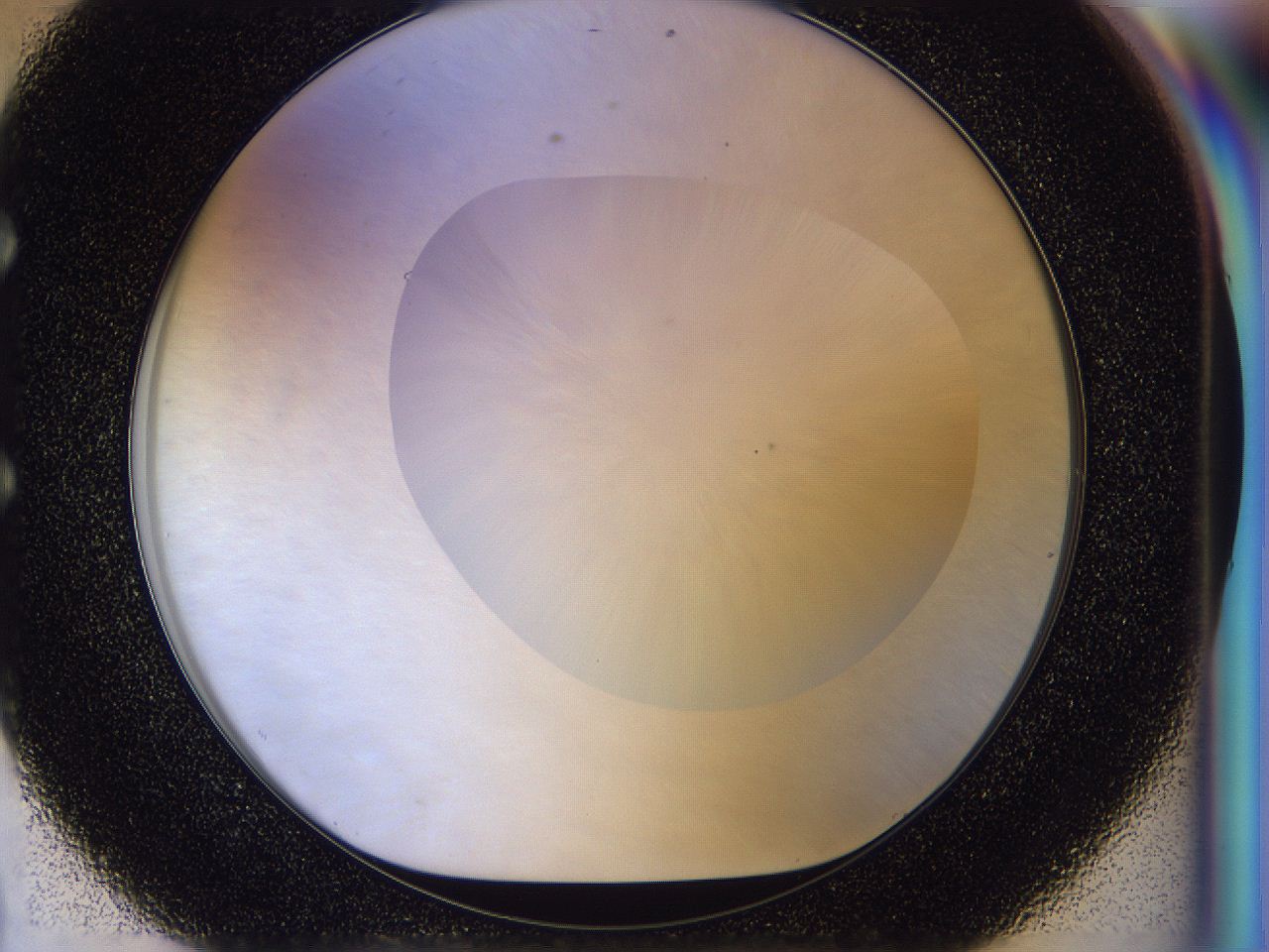 056l_E8_ImagerDefaults_0.jpg
