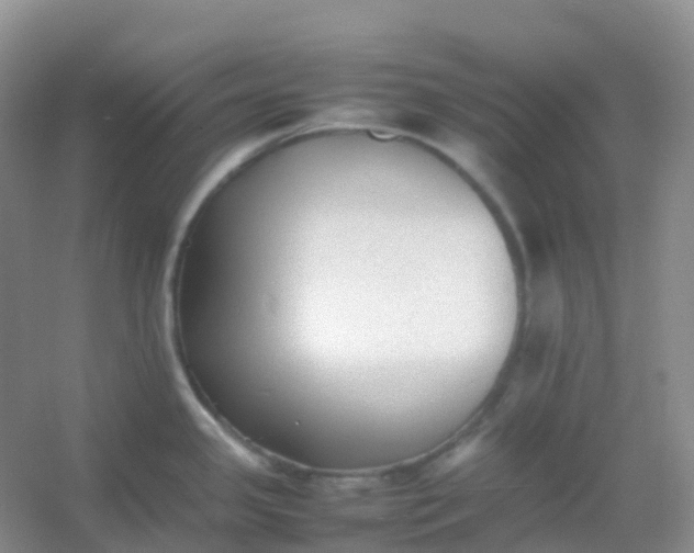X0000054331341200508111909.png