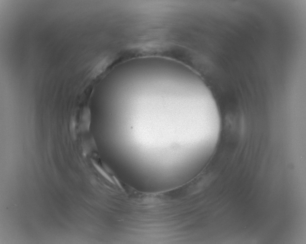 X0000054331300200508111908.png