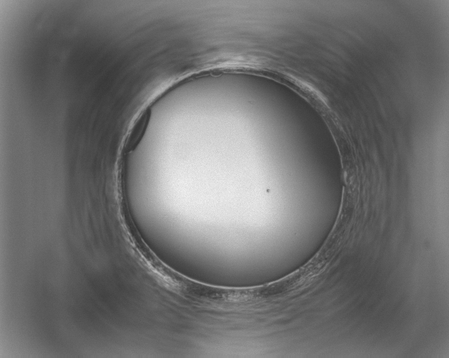 X0000055061375200508161634.png