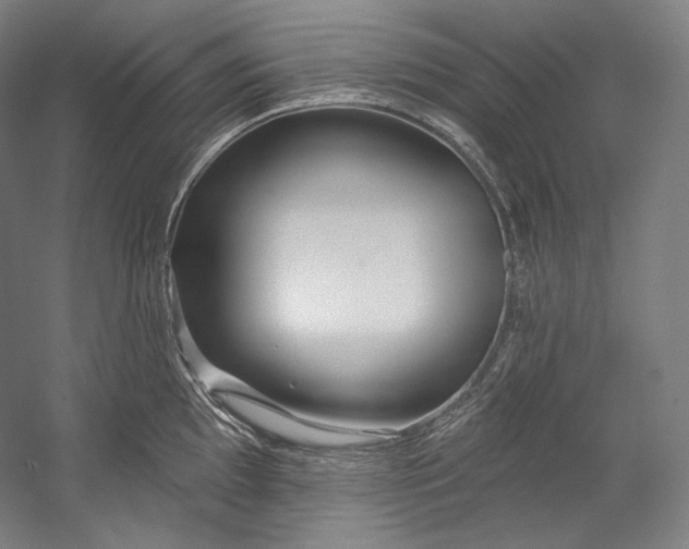 X0000055211097200508301315.png