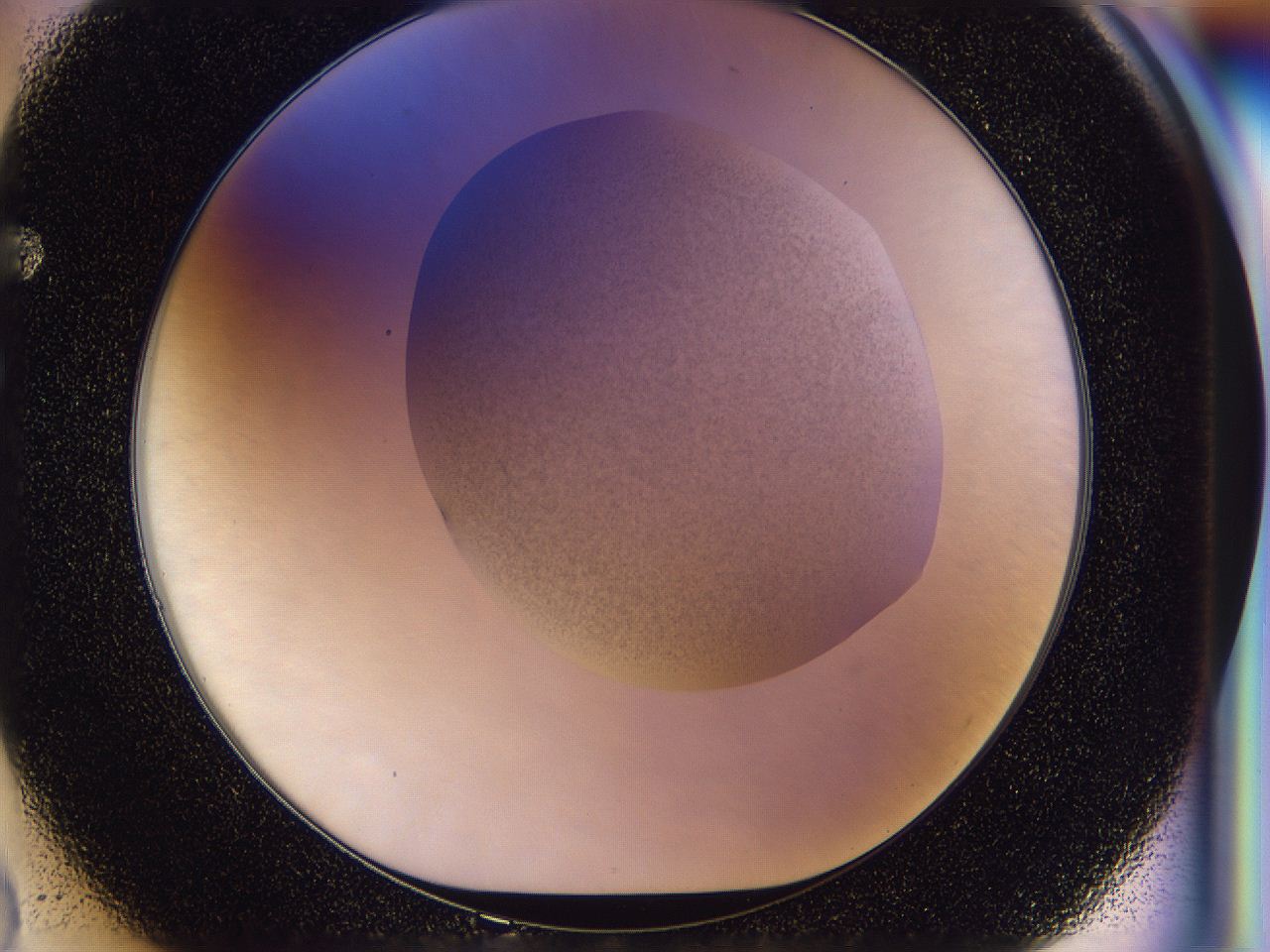 056l_F2_ImagerDefaults_2.jpg