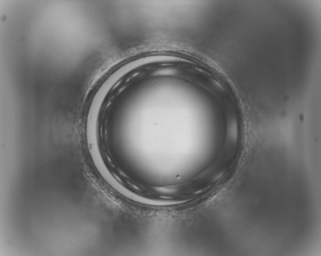 X0000052120786200507262050.png