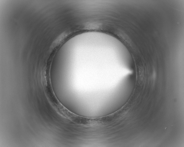X0000054330682200508111919.png