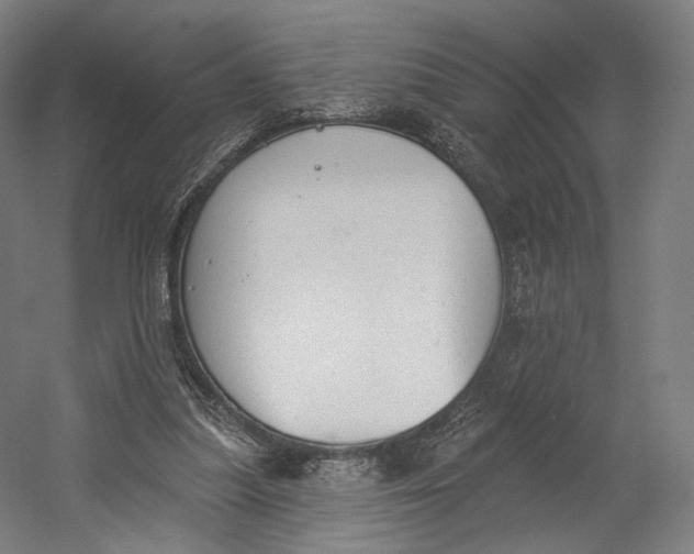 X0000055210251200508301329.png