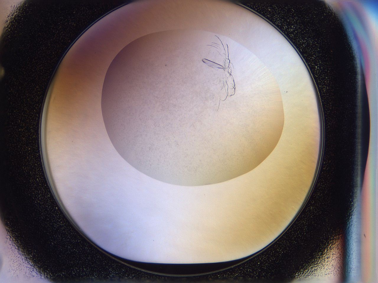 056l_F7_ImagerDefaults_8.jpg