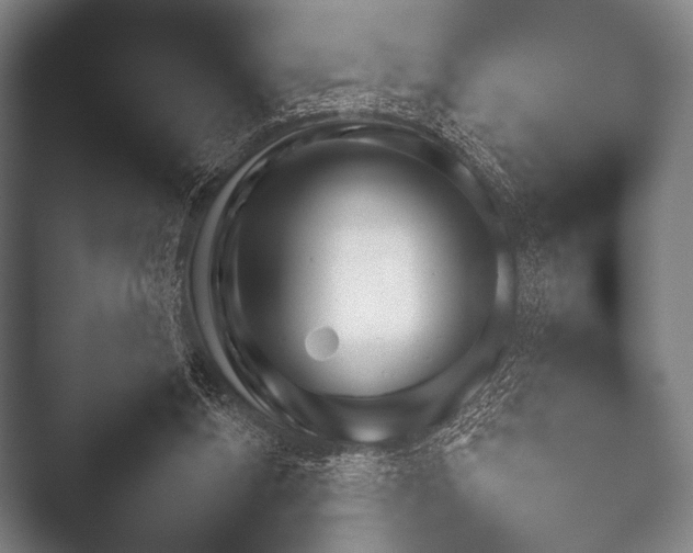 X0000052020160200507181635.png