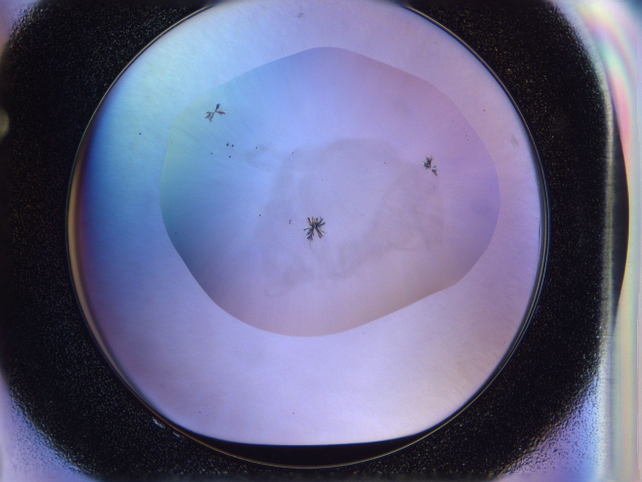 056l_F8_ImagerDefaults_7.jpg