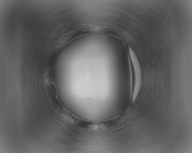X0000055250317200509071622.png
