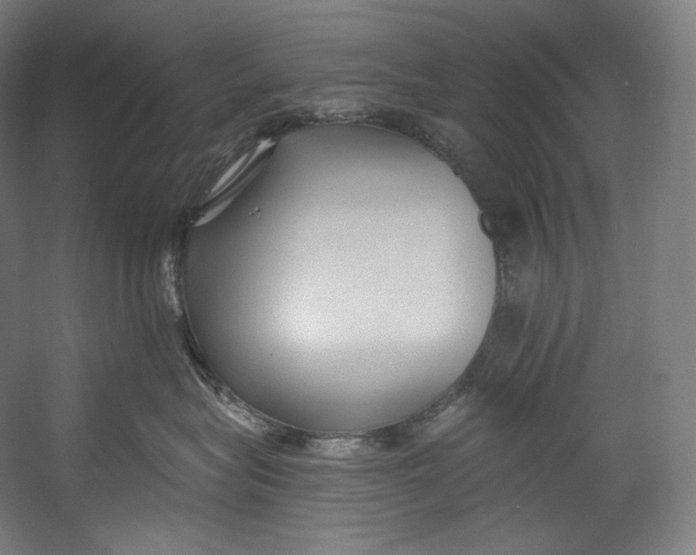 X0000055210575200508301325.png