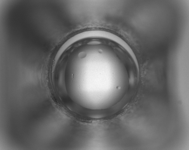 X0000052450060200507211325.png