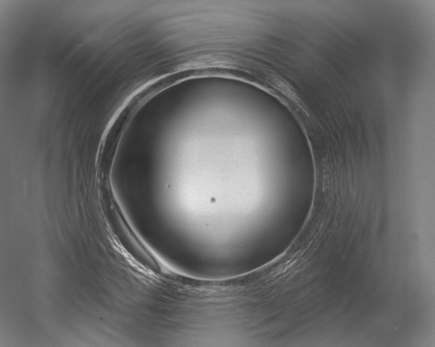 X0000055211116200508301314.png