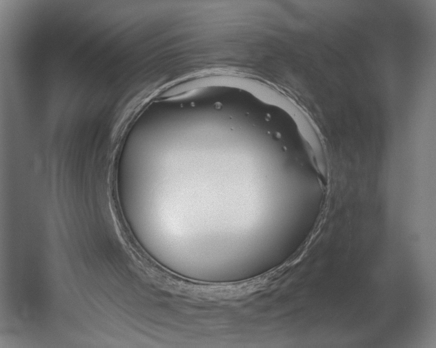 X0000055210001200508301334.png