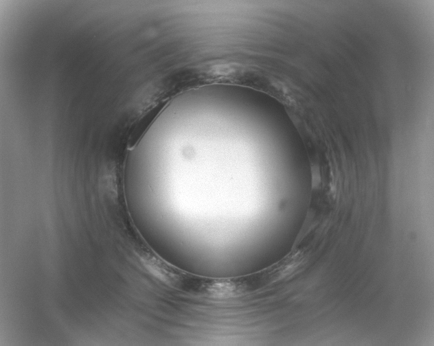 X0000054330562200508111922.png