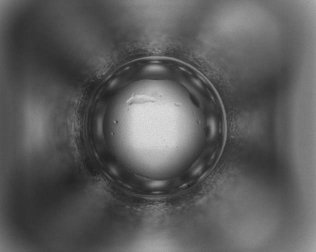 X0000045450646200502011658.png