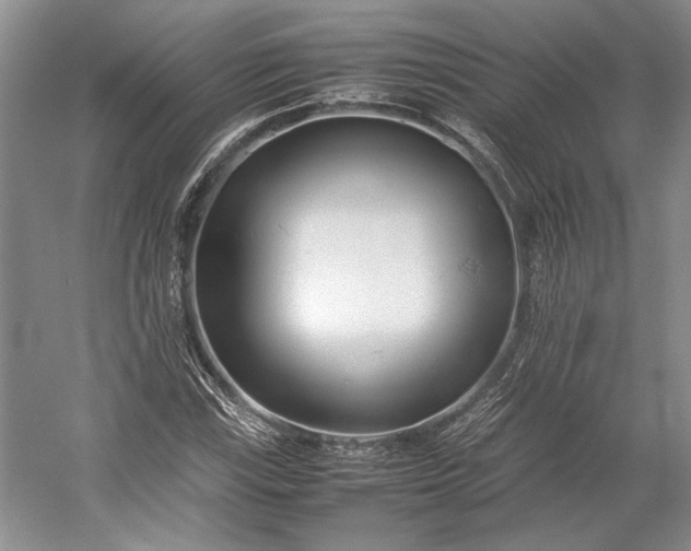 X0000055061115200508161638.png