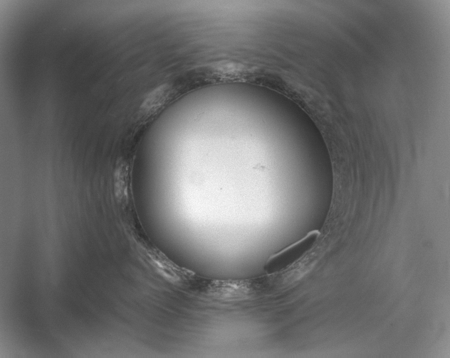 X0000055060768200508161645.png