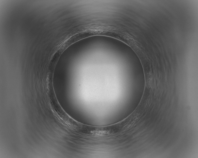 X0000055210448200508301326.png
