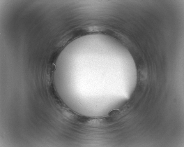 X0000054330422200508111924.png