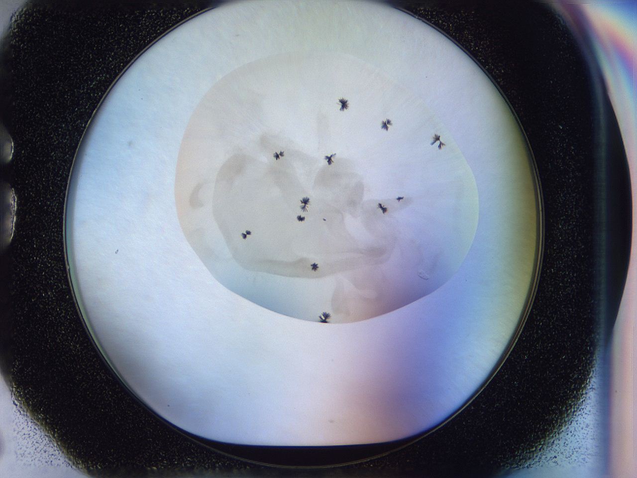 056l_G6_ImagerDefaults_6.jpg