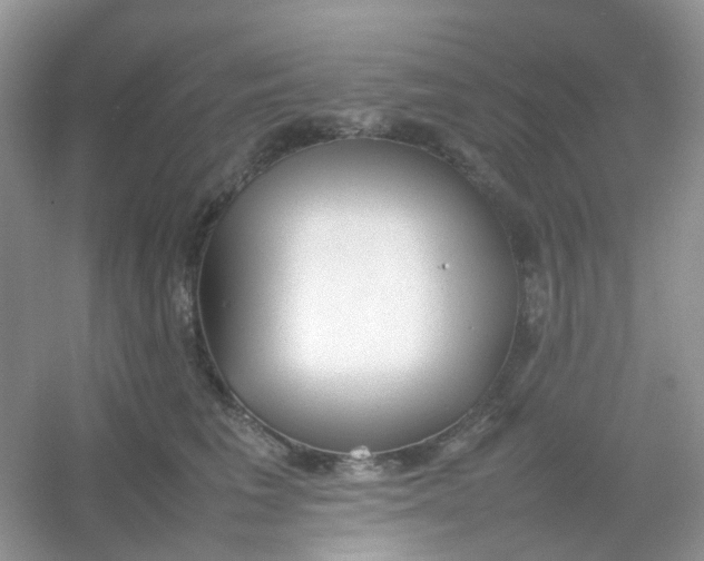 X0000054330613200508111921.png