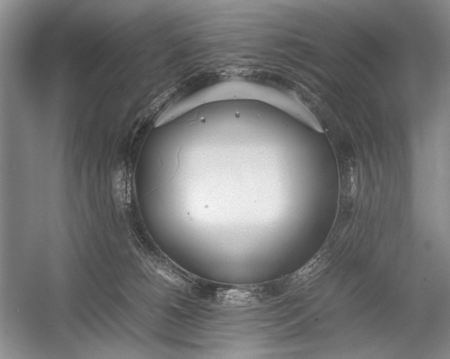 X0000055060180200508161655.png