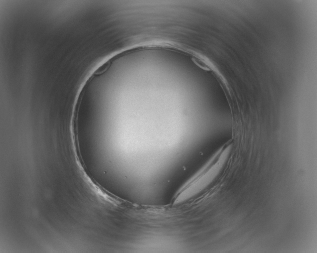 X0000055210959200508301318.png