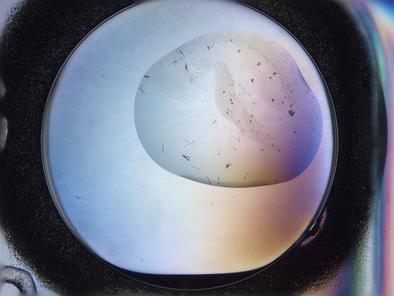 056l_G10_ImagerDefaults_6.jpg