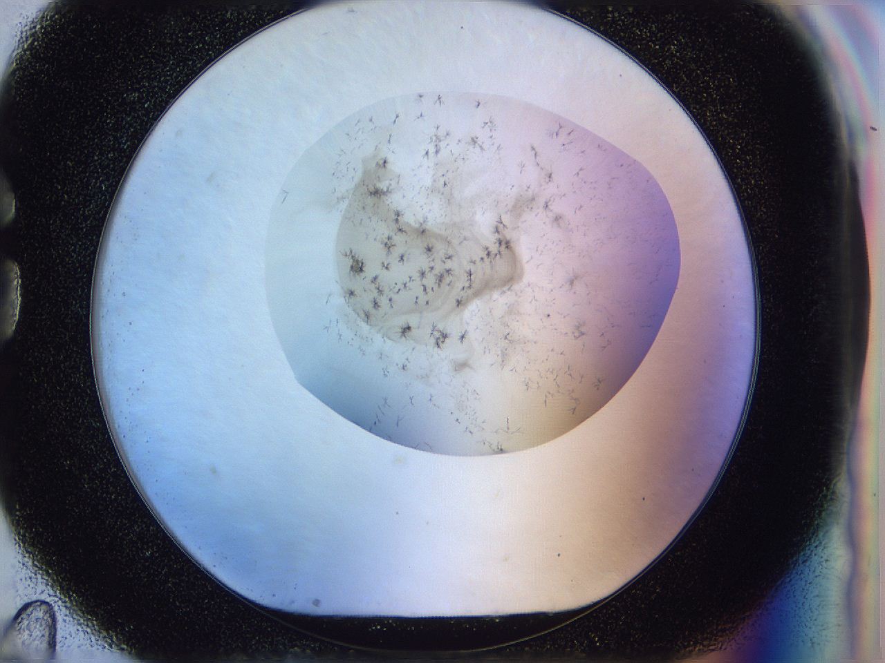 056l_G11_ImagerDefaults_6.jpg