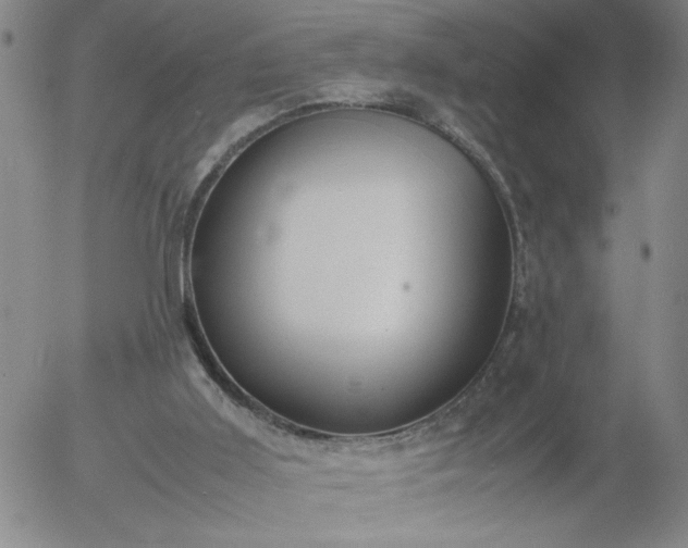 X0000054650011200508091653.png