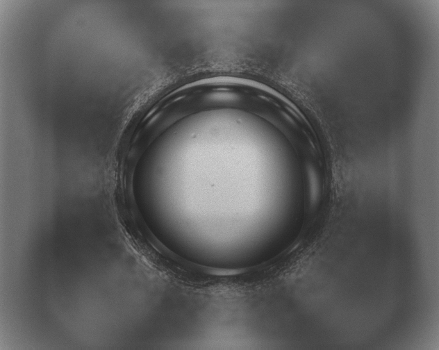 X0000038920578200409291008.png