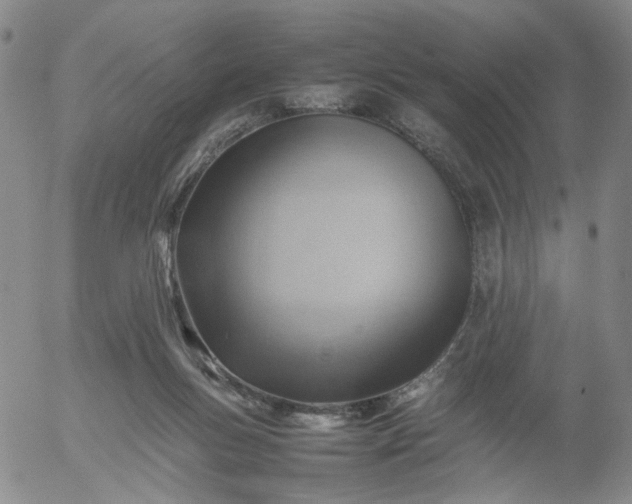 X0000054650167200508091651.png