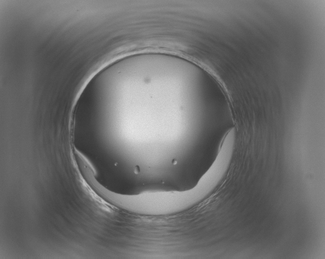 X0000055211532200508301308.png