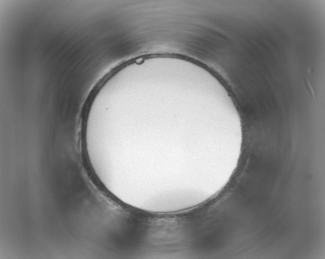 X0000054331126200508111912.png