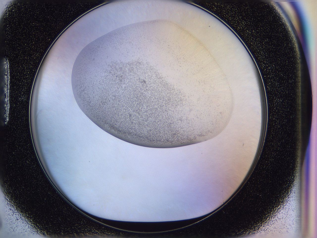 056l_H6_ImagerDefaults_2.jpg