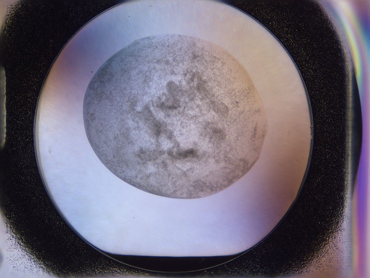 056l_H7_ImagerDefaults_3.jpg