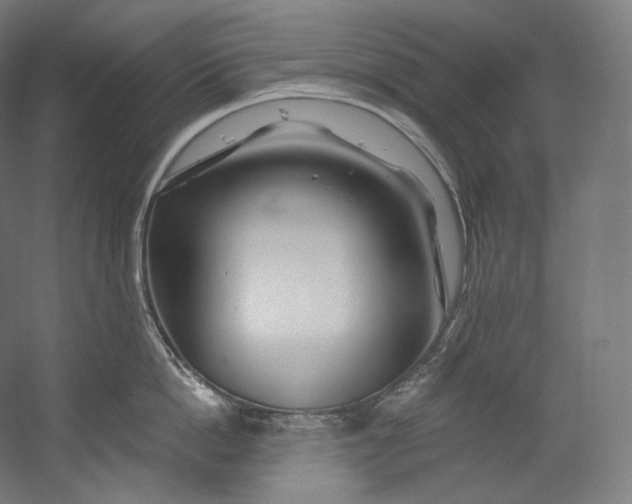X0000055210862200508301320.png