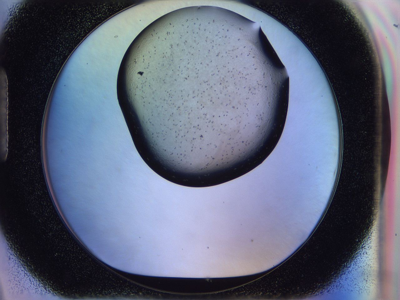 056l_H9_ImagerDefaults_6.jpg