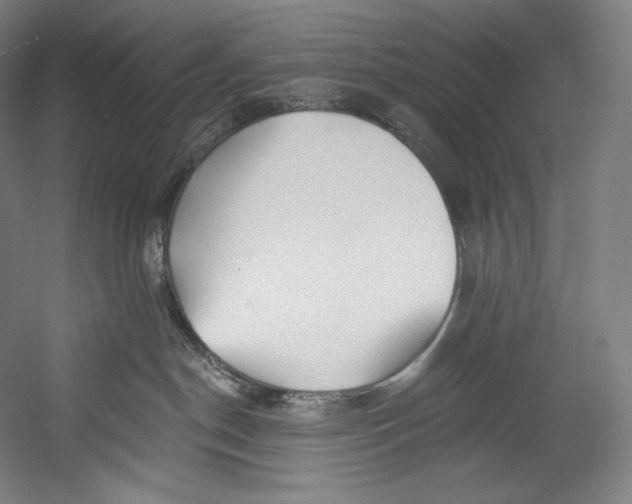 X0000055210190200508301331.png
