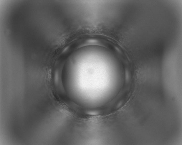 X0000052150132200507052001.png
