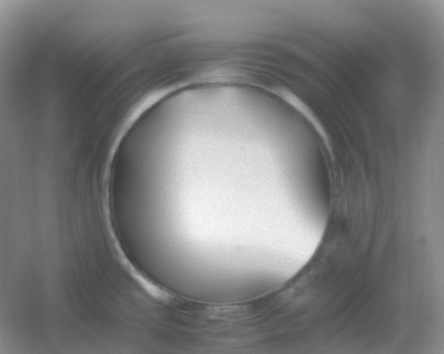 X0000054331437200508111907.png