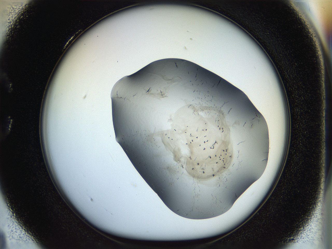 056m_C4_ImagerDefaults_6.jpg