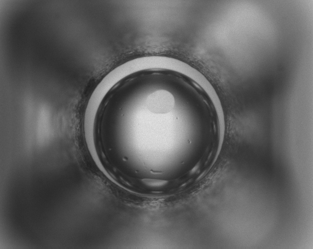 X0000045450362200502011702.png
