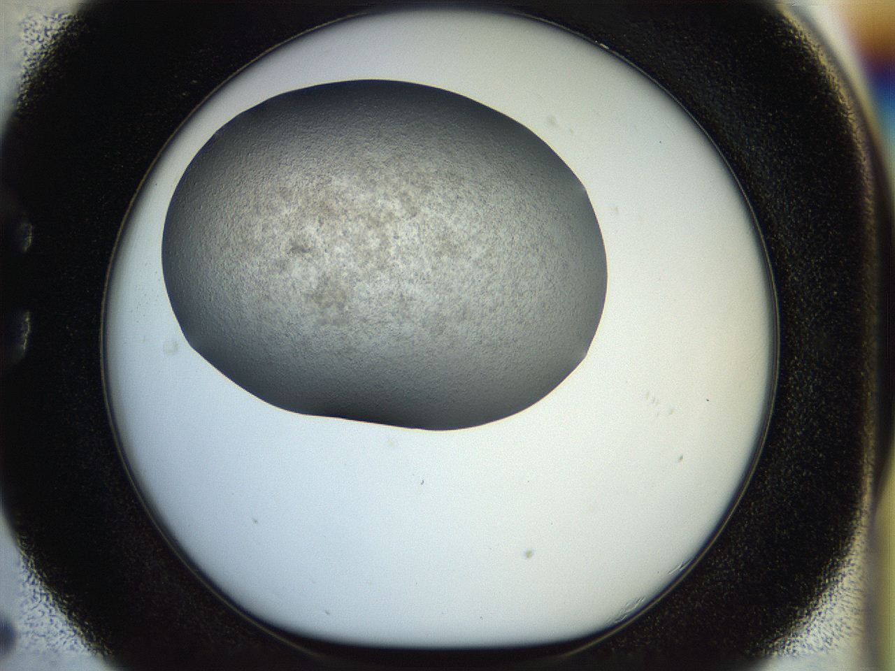 056m_C5_ImagerDefaults_2.jpg