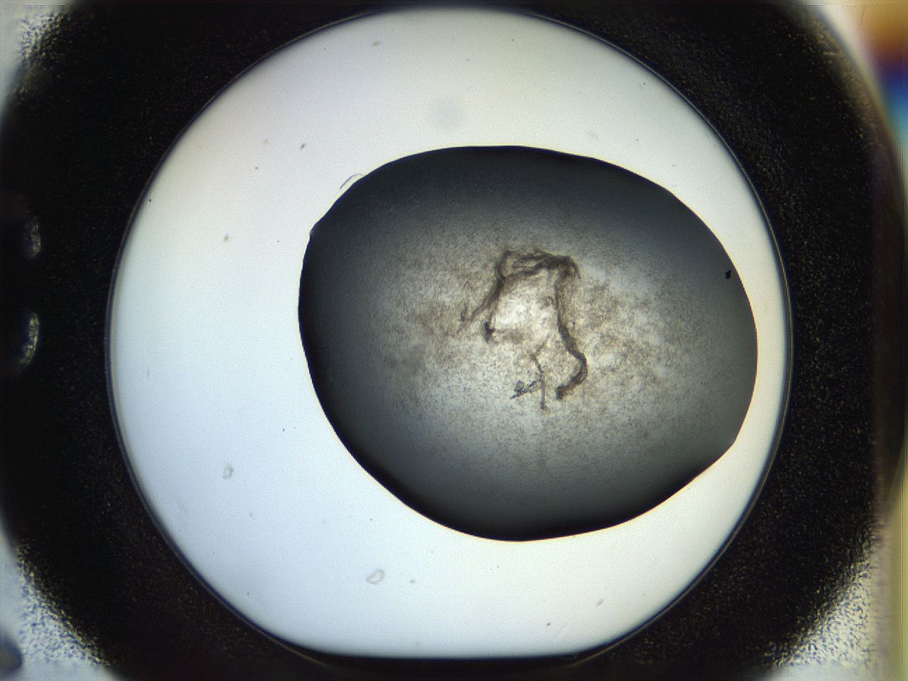 056m_C6_ImagerDefaults_3.jpg