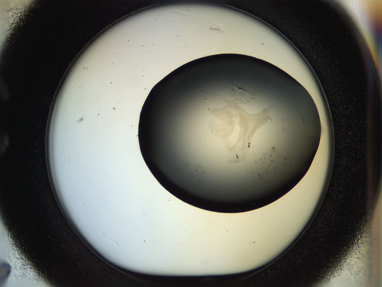 056m_C7_ImagerDefaults_6.jpg