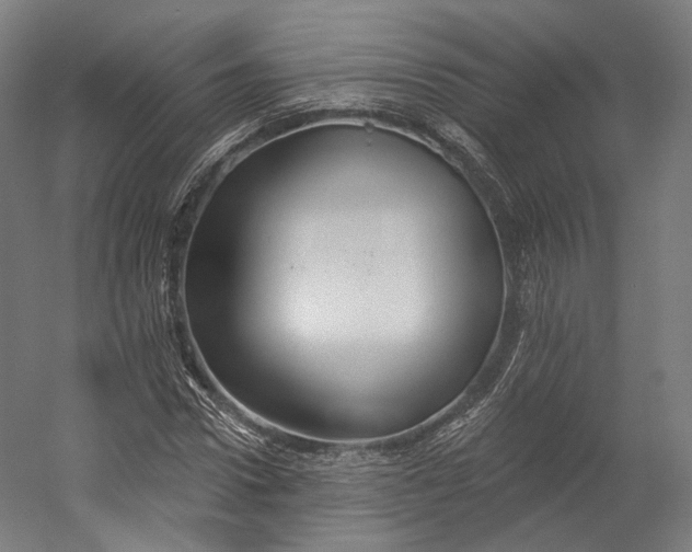X0000055210922200508301318.png