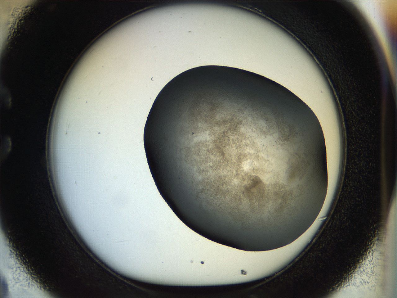 056m_C8_ImagerDefaults_3.jpg
