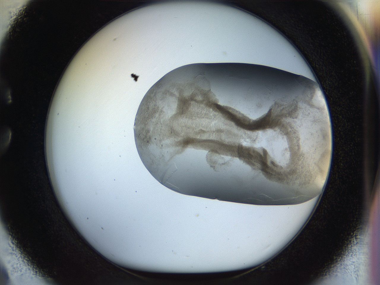 056m_C9_ImagerDefaults_3.jpg