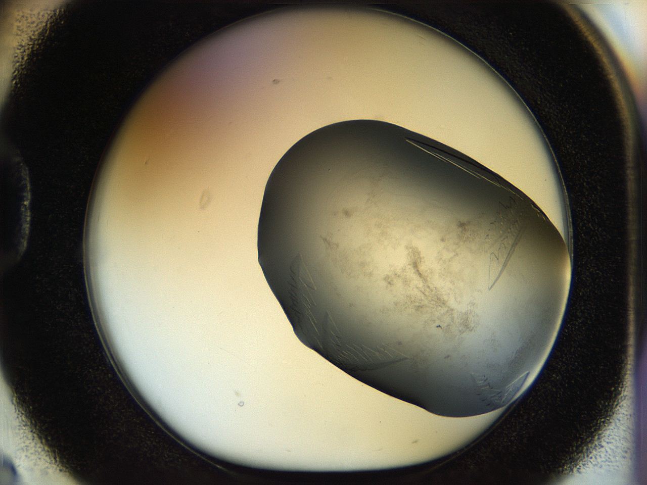 056m_D2_ImagerDefaults_8.jpg
